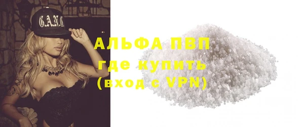 прущие грибы Баксан