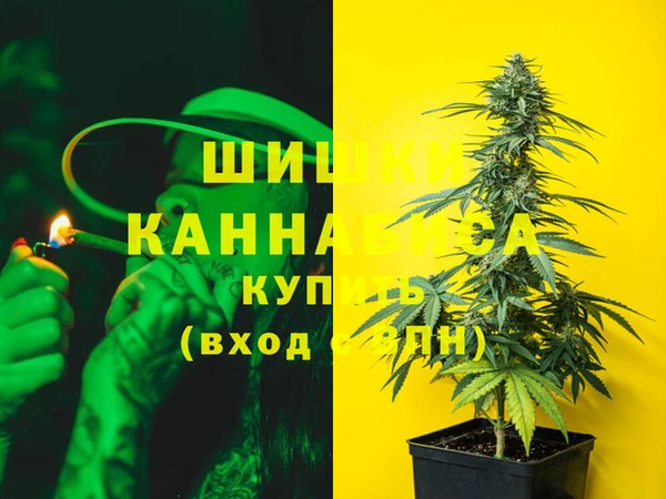 прущие грибы Баксан