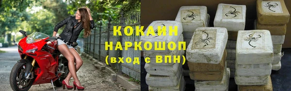 прущие грибы Баксан