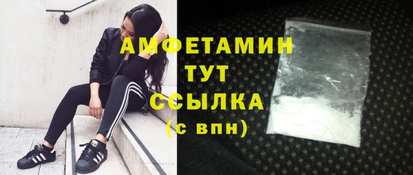 прущие грибы Баксан
