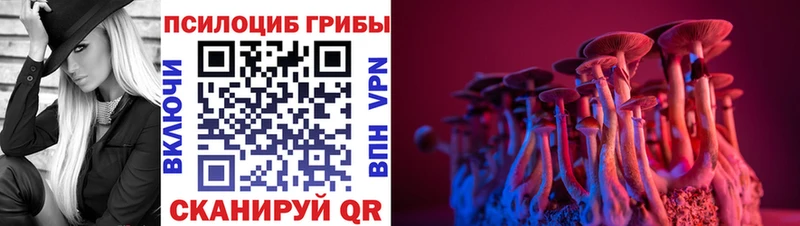 Купить закладки  Новодвинск  Псилоцибиновые грибы мухоморы 